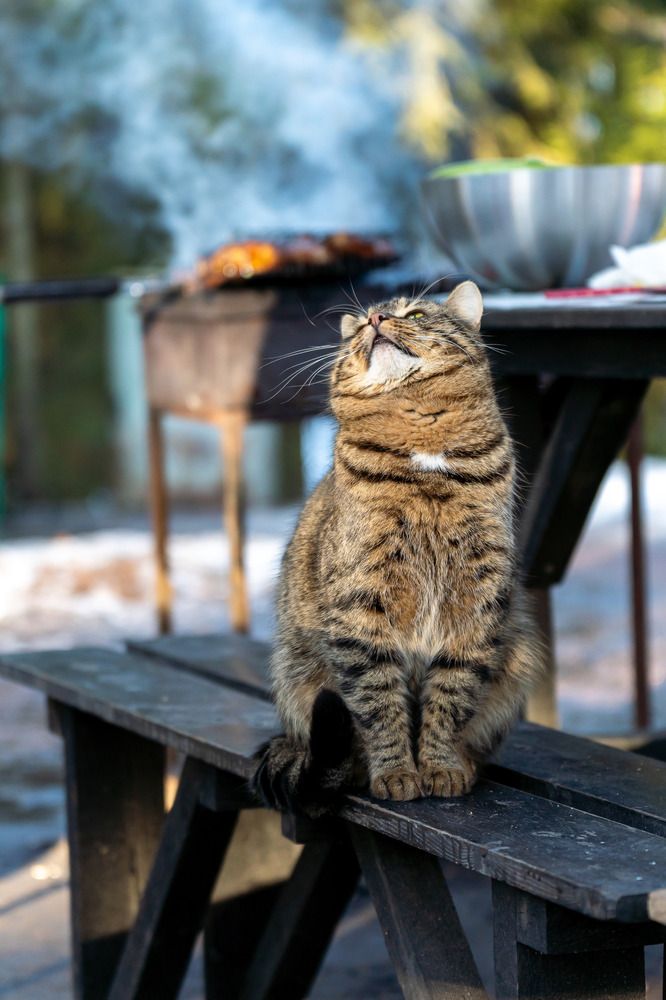 Photograph by Марина Виноградова