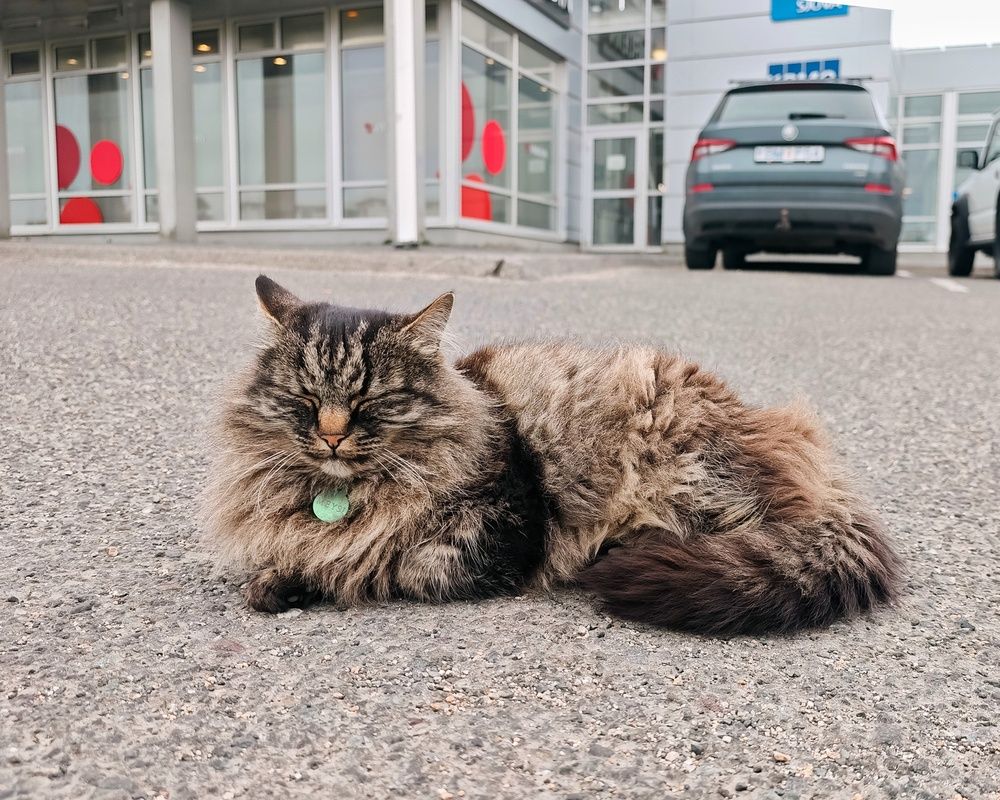 Photograph by Татьяна Соколовская