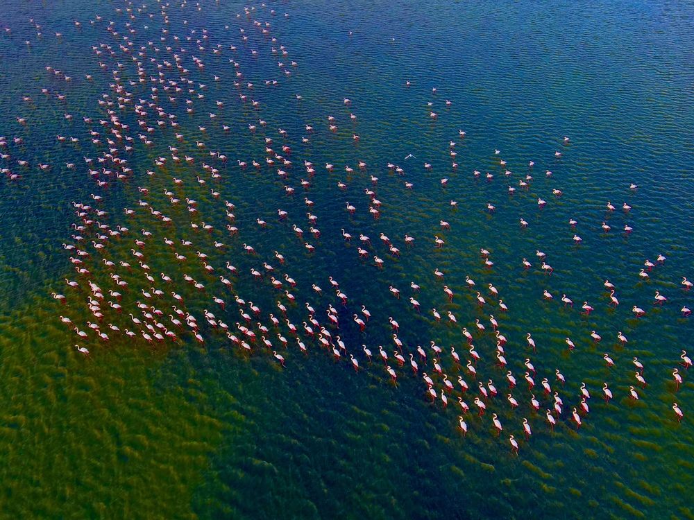 Photograph by Gülbeyaz Gencer