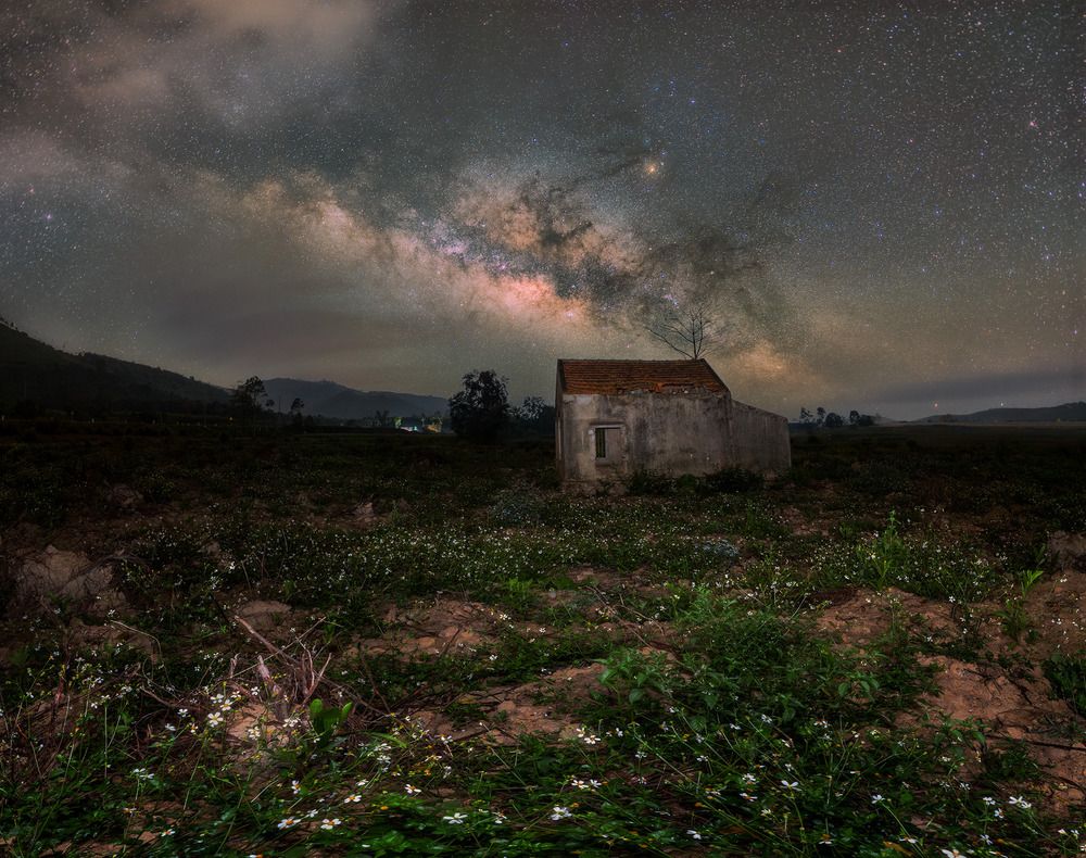 Фотография автора Dao Hoang