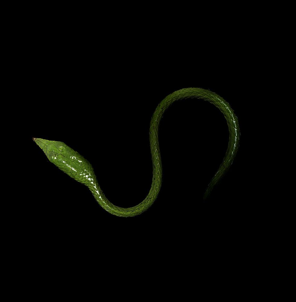 Photograph by Dev Mehta