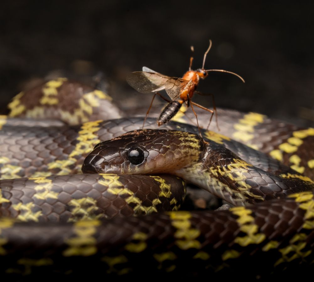 Photograph by Dev Mehta