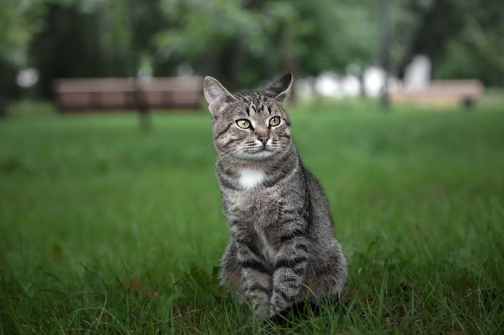 Photograph by Макаров Роман