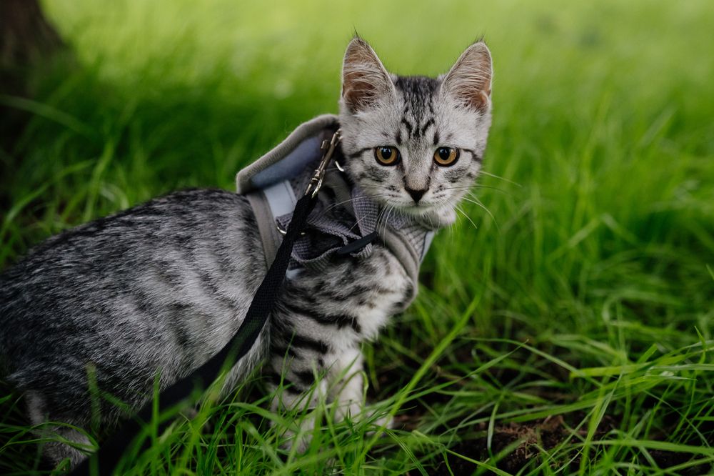 Photograph by Натали Захарова (Тай)