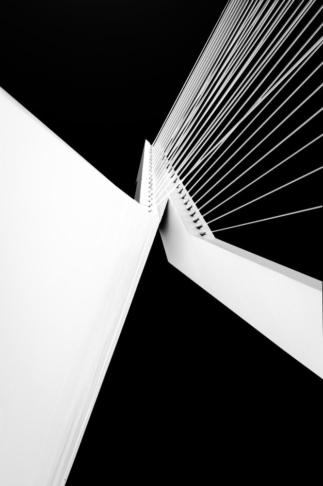 Silent Lines