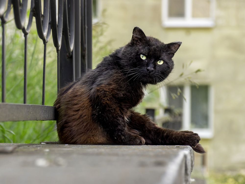 Photograph by Владимир