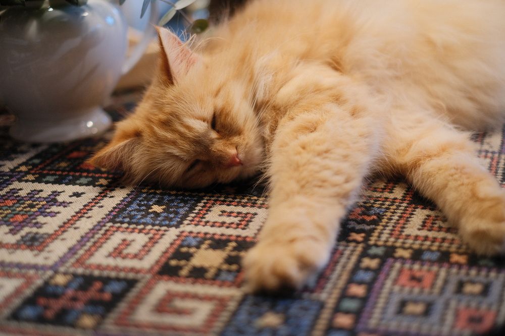 Photograph by Nguyen Hai Duong