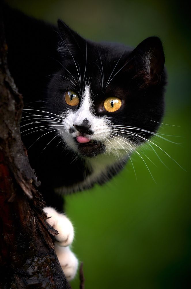 Photograph by Андрей Некрашевич