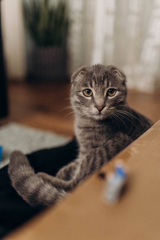 Photograph by София Белопольская