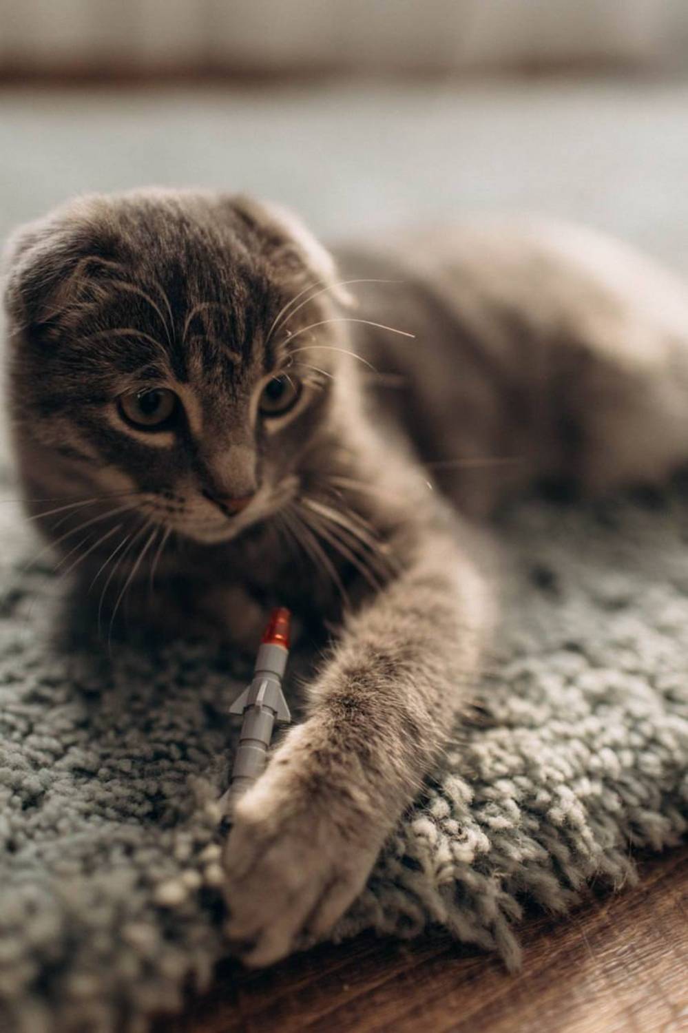 Photo #12212547