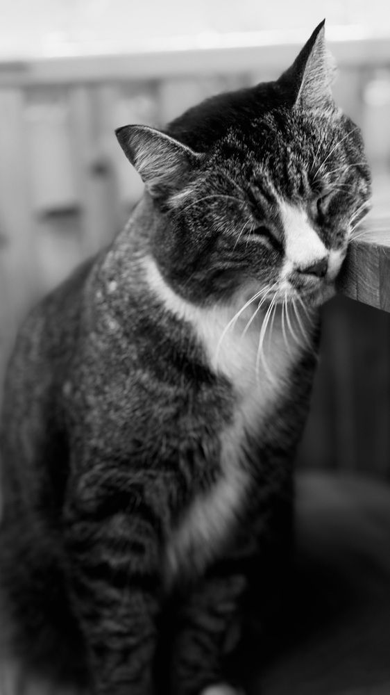 Photograph by Наталья Иванова