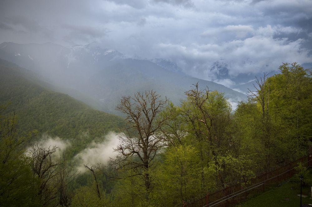 Photograph by Жанна Агафонова