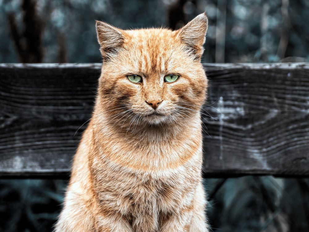 Photograph by Владимир