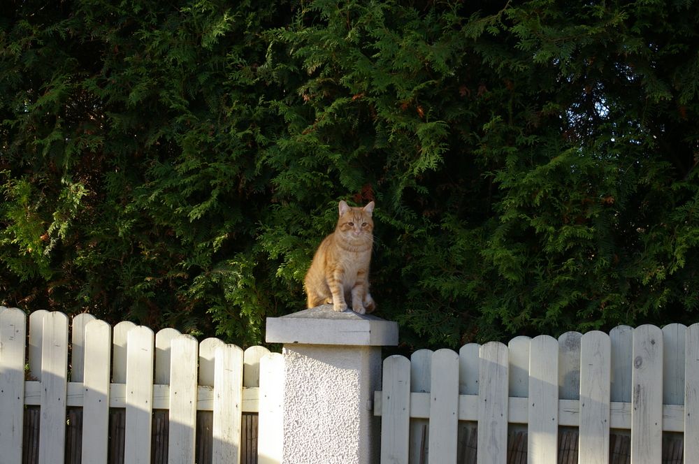 Photograph by Александра Семенас