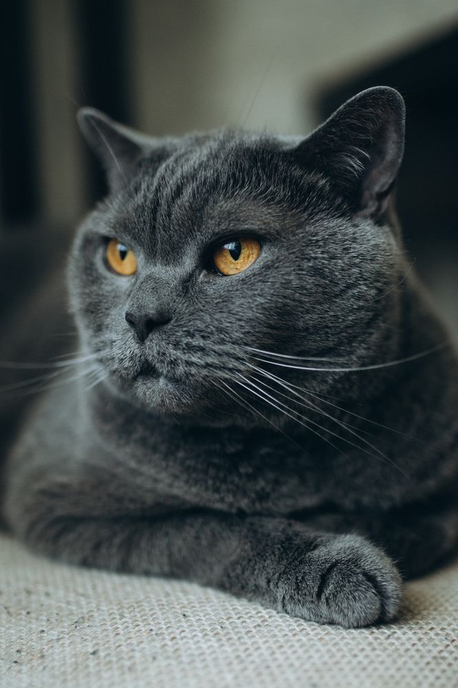 Photograph by Марина Хусаинова