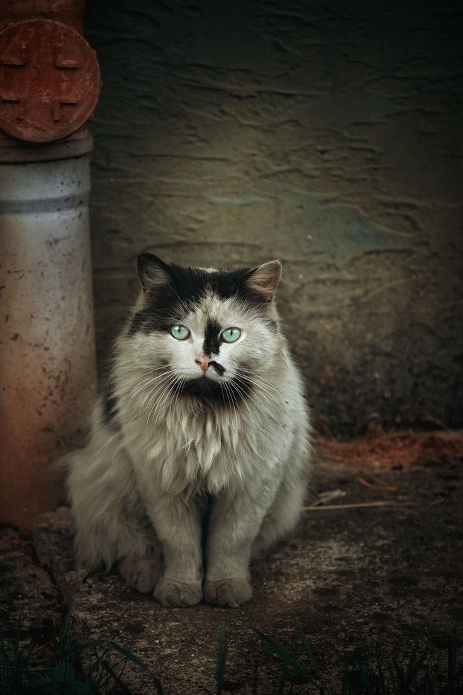 Photograph by Татьяна Максакова