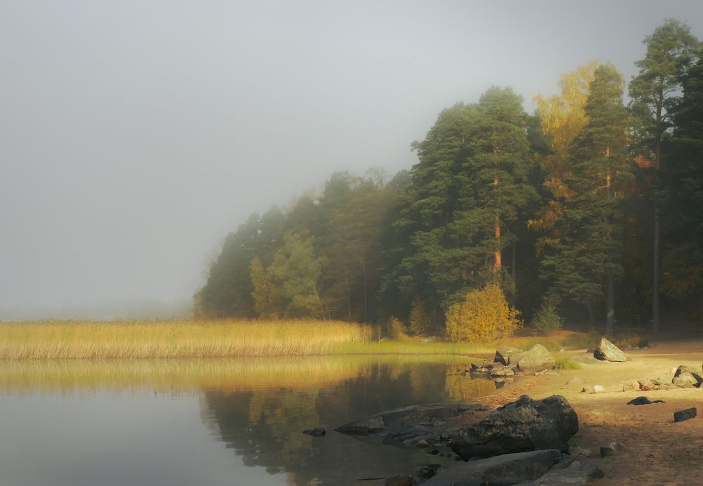Туман и солнце