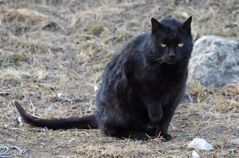 Photograph by Margareth Tikhonova