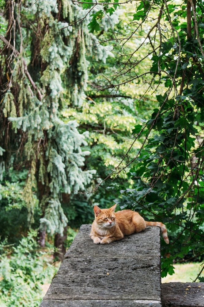 Photograph by Анастасия Лидяева