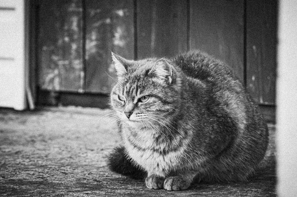 Photograph by Кокорин Алексей