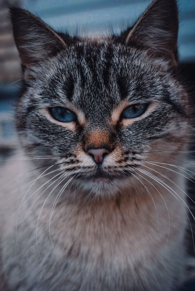 Photograph by Олеся Бронзова