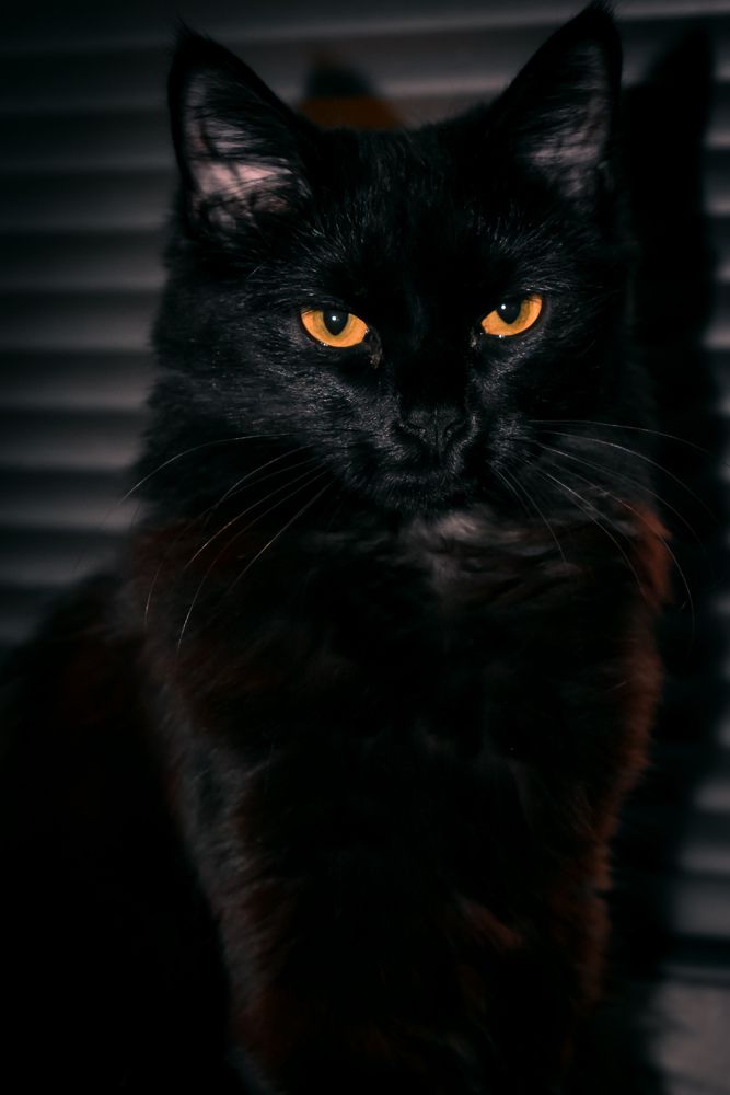 Photograph by Олеся Бронзова