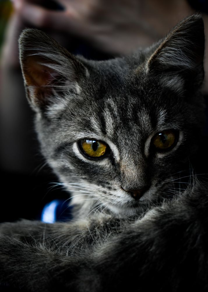 Photograph by Олеся Бронзова