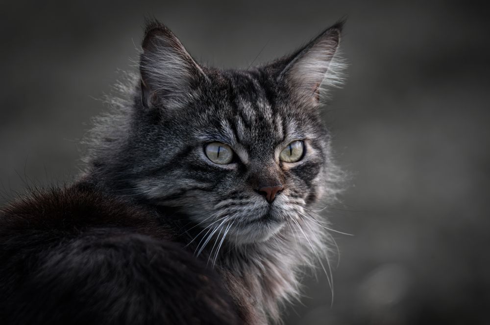 Photograph by Плеханов Александр