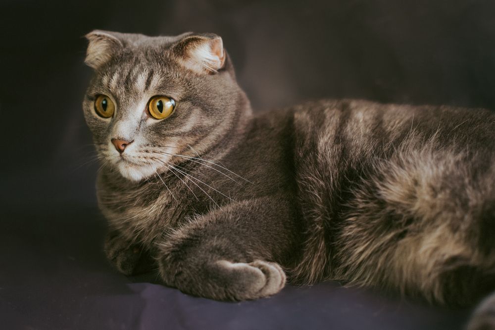 Photograph by Людмила Зяблова