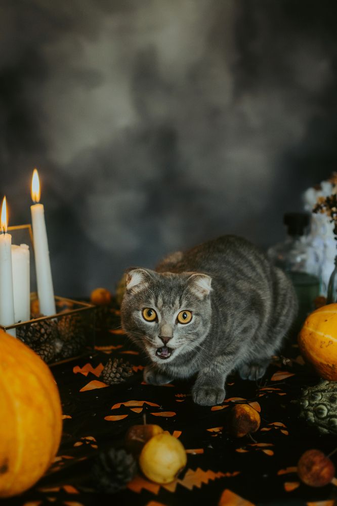 Photograph by Людмила Зяблова