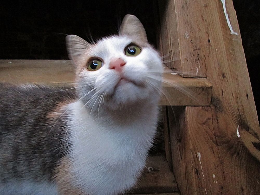 Photograph by Александр Лазебник