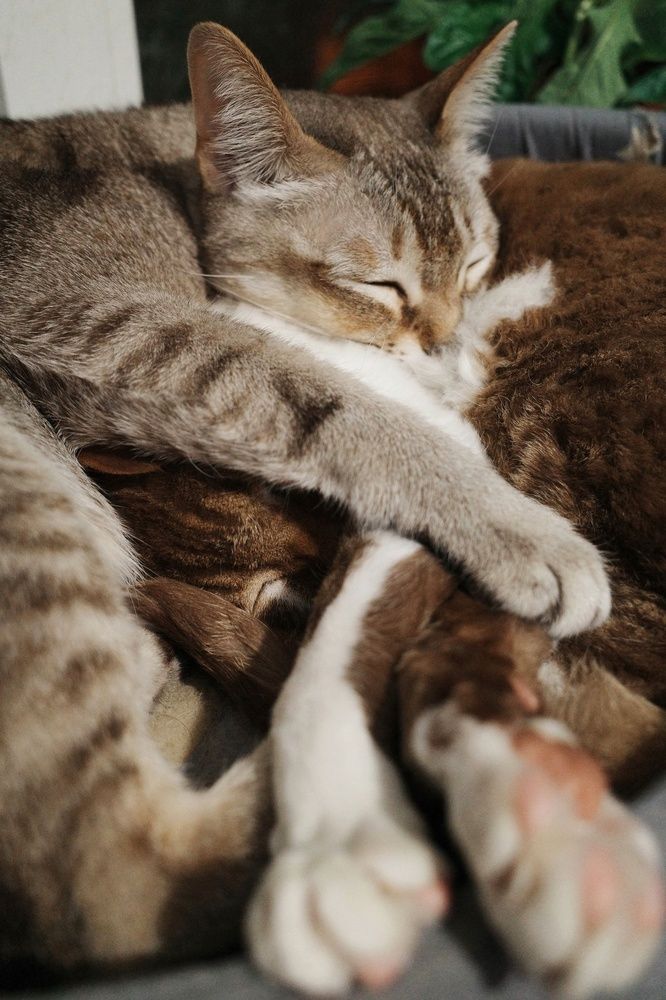 Photograph by Оксана Ботвина