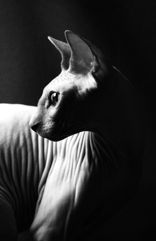 Photograph by Екатерина Иванова