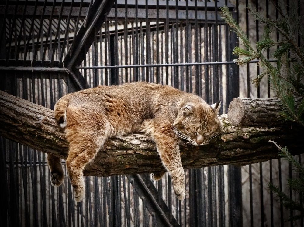 Photograph by Татьяна Шитлина