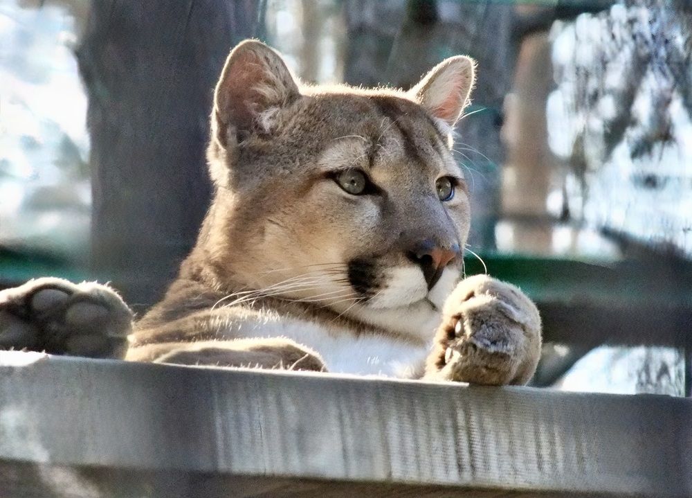 Photograph by Татьяна Шитлина