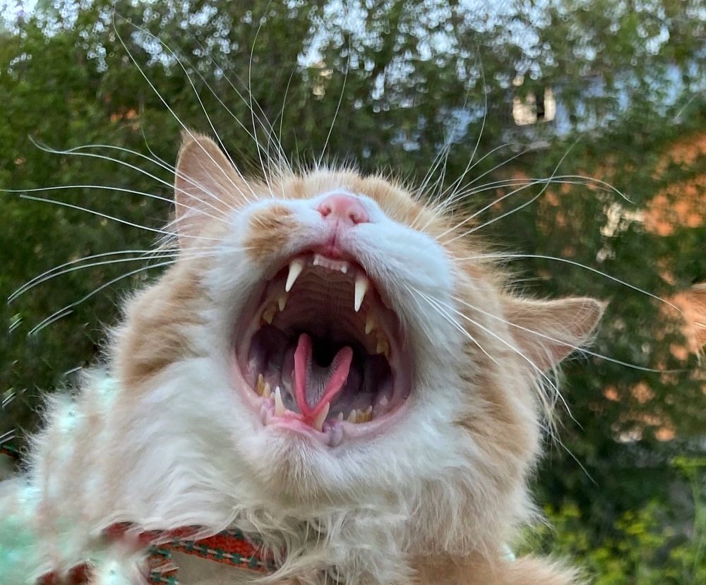 Photograph by Татьяна Шитлина