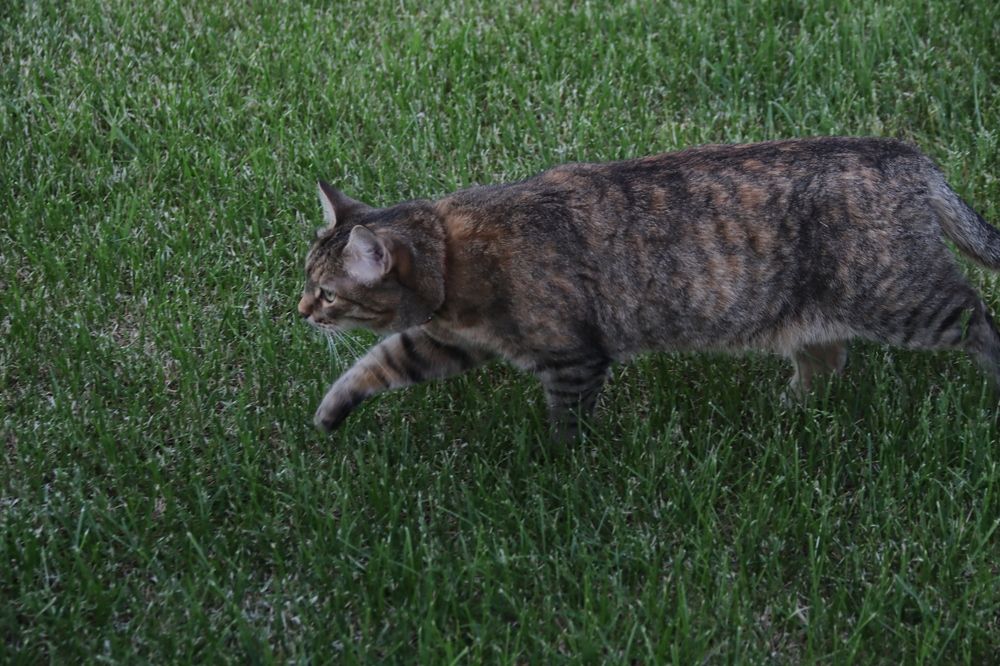 Photograph by KOREYSHA ILYA