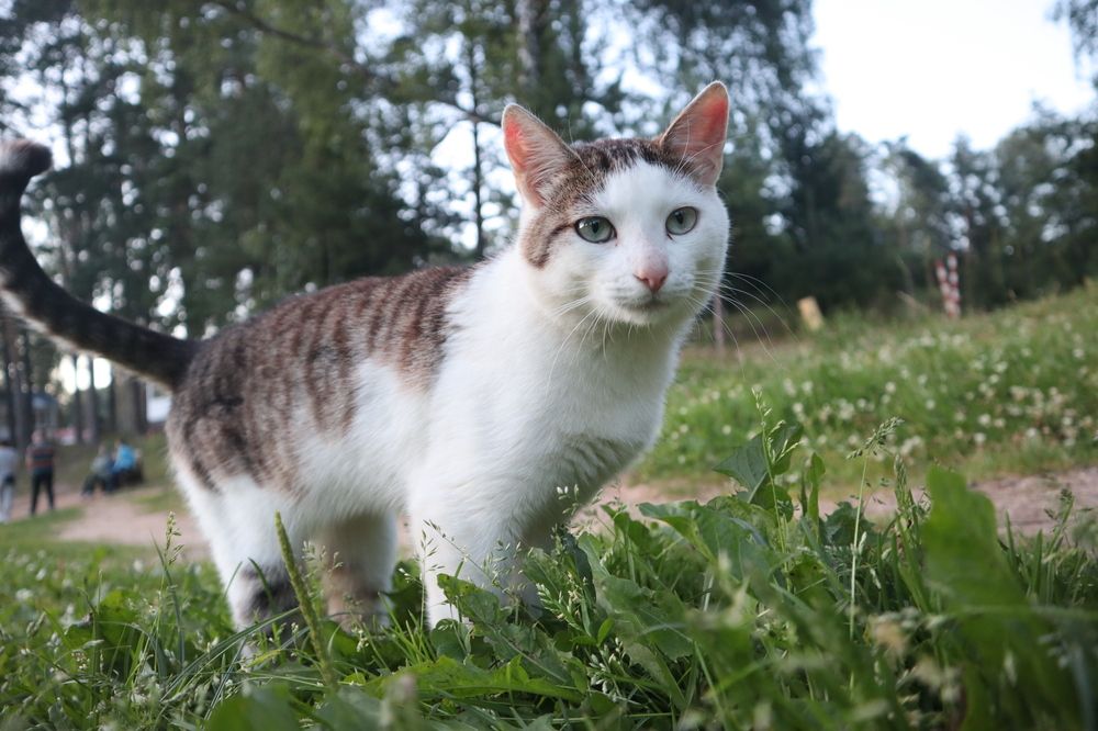 Photograph by KOREYSHA ILYA