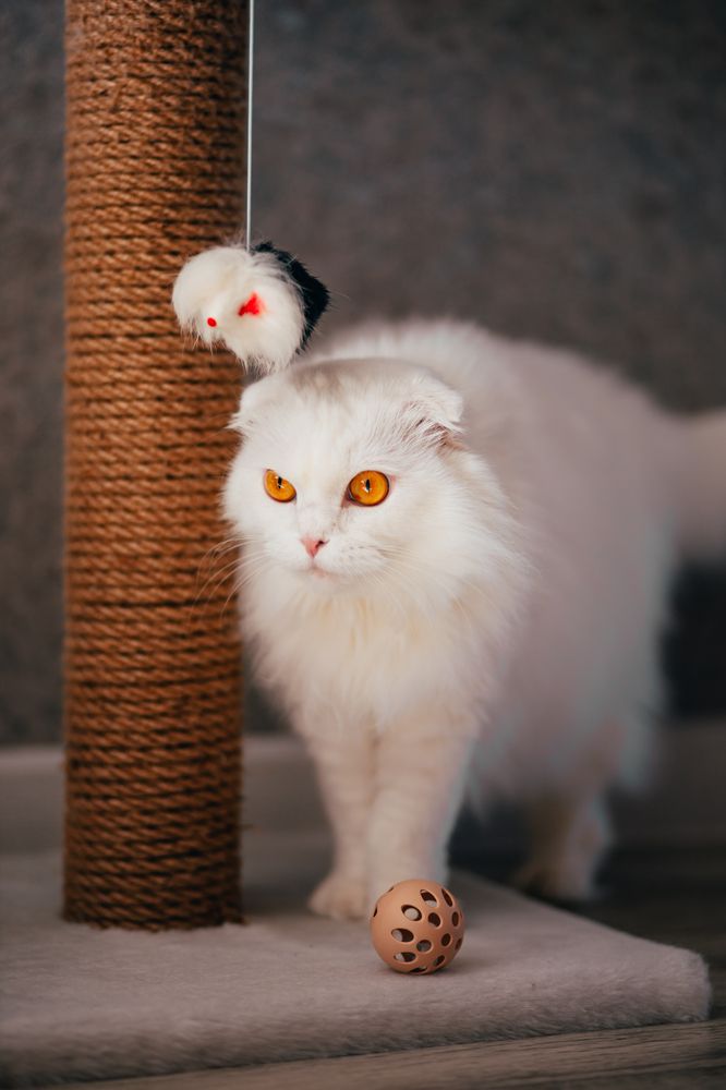 Photograph by Денис