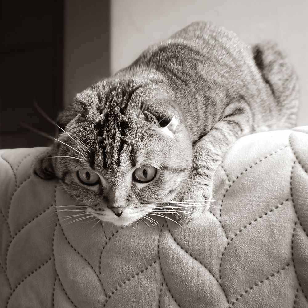 Photograph by Ксения Моськина