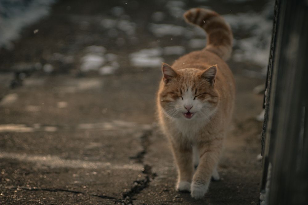 Photograph by Дмитрий Рзянин