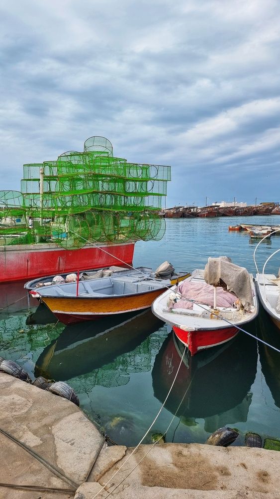 Photograph by mohammad kazemi