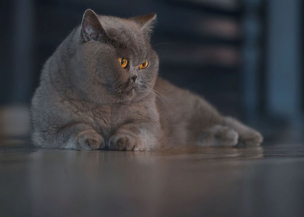 Photograph by wendy vanhoudt