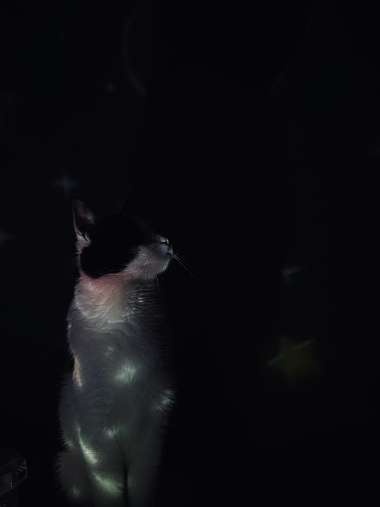 Photograph by Юлия Немцова