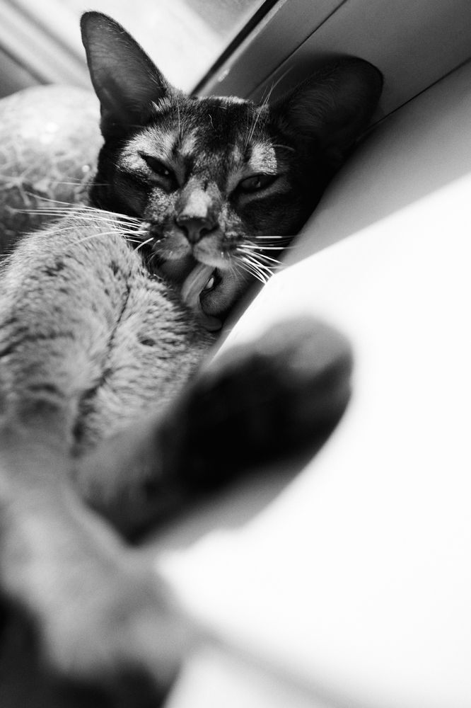 Photograph by Юлия Зозуля