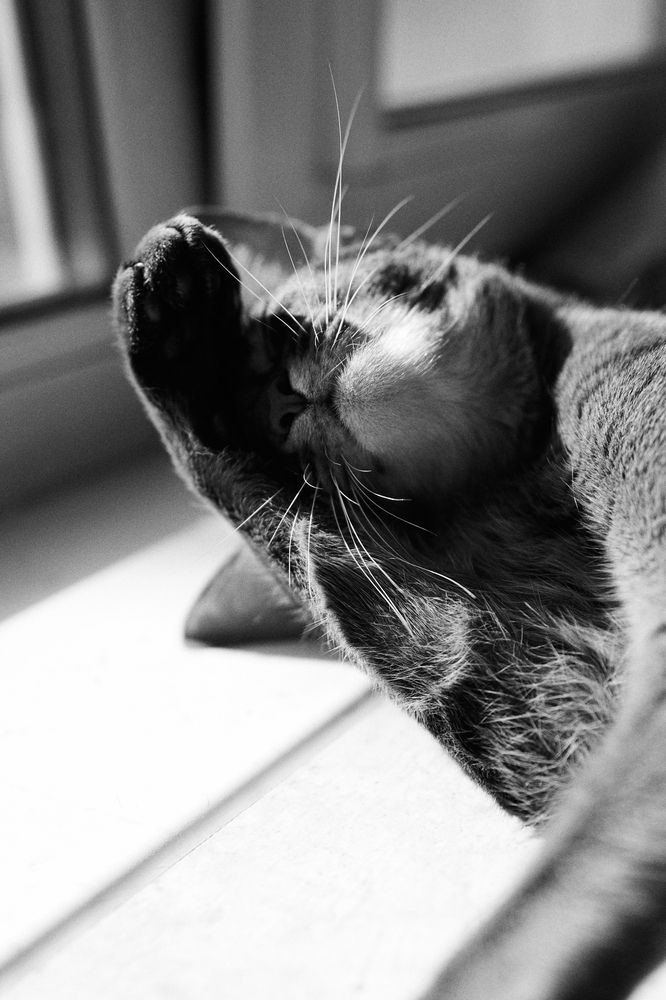 Photograph by Юлия Зозуля