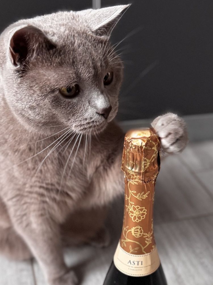 Photograph by Zhanna Kolesnikova