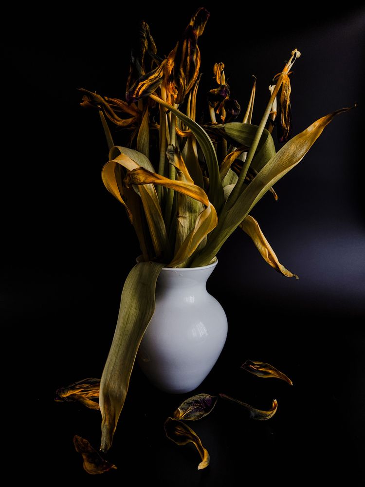 Photograph by Алиса Исаева