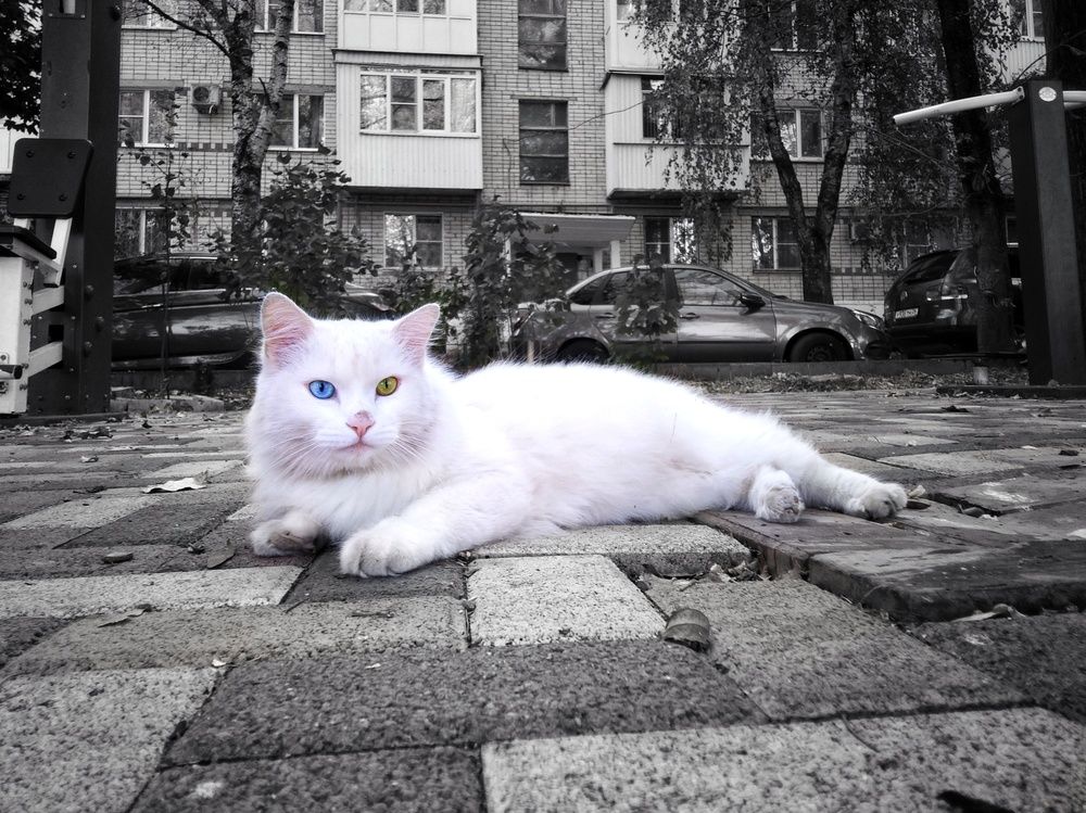 Photograph by Зорин Миша