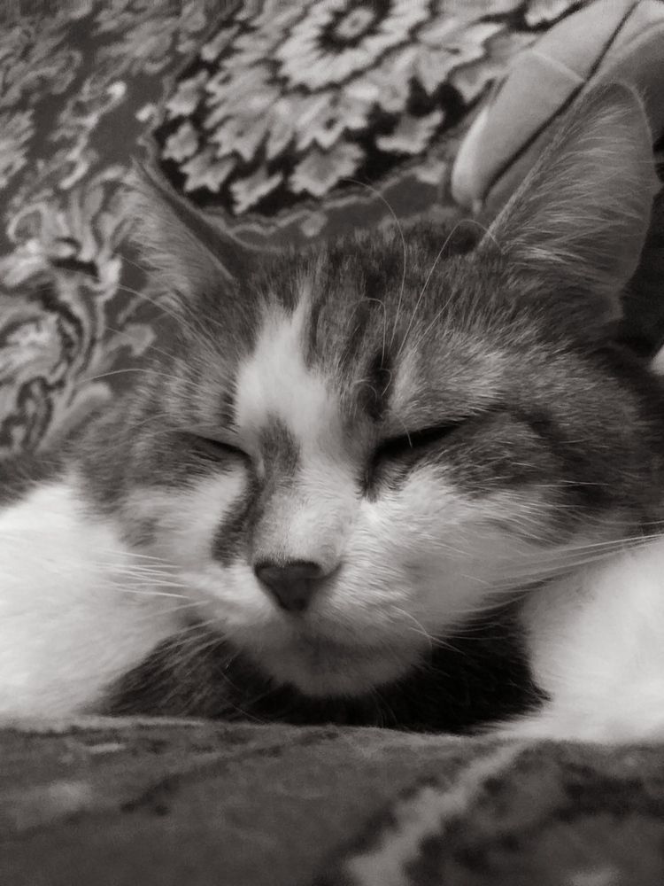 Photograph by Инна Голубева